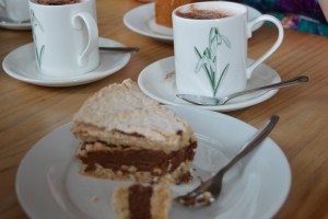 Painswick Rococo Gardens