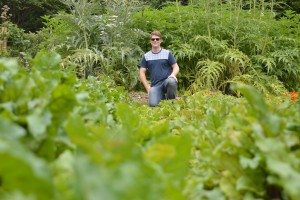 Painswick Rococo Gardens