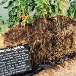 Ryton Organic Gardens