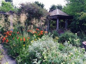 Ryton Organic Gardens