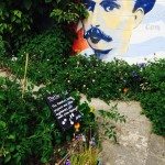 Ryton Organic Gardens