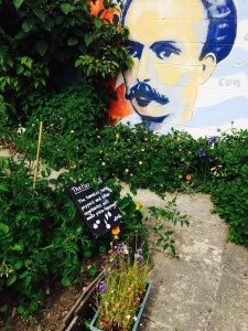 Ryton Organic Gardens