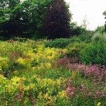 Ryton Organic Gardens