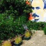 Ryton Organic Gardens