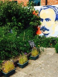 Ryton Organic Gardens