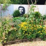Ryton Organic Gardens