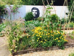 Ryton Organic Gardens