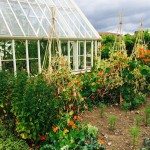 Ryton Organic Gardens