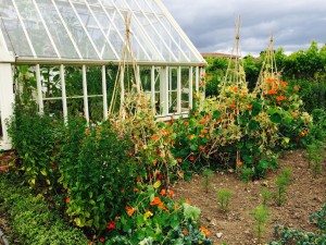 Ryton Organic Gardens