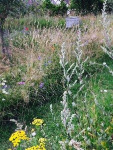 Ryton Organic Gardens