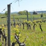 Château de Chambert