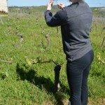 Château de Chambert