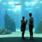 Oceanário de Lisboa