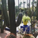 Jardin Majorelle