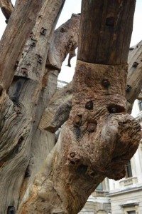 ai weiwei royal academy of arts review