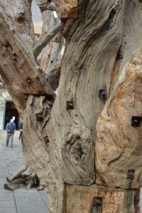 ai weiwei royal academy of arts review