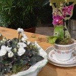 Burford Garden Company