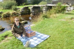 Vonshef wicker picnic hamper