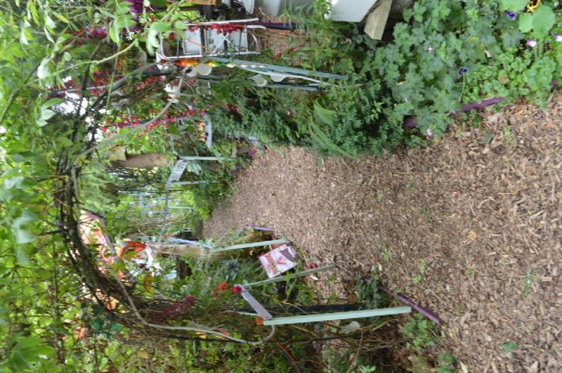 Jane's enchanted tea garden