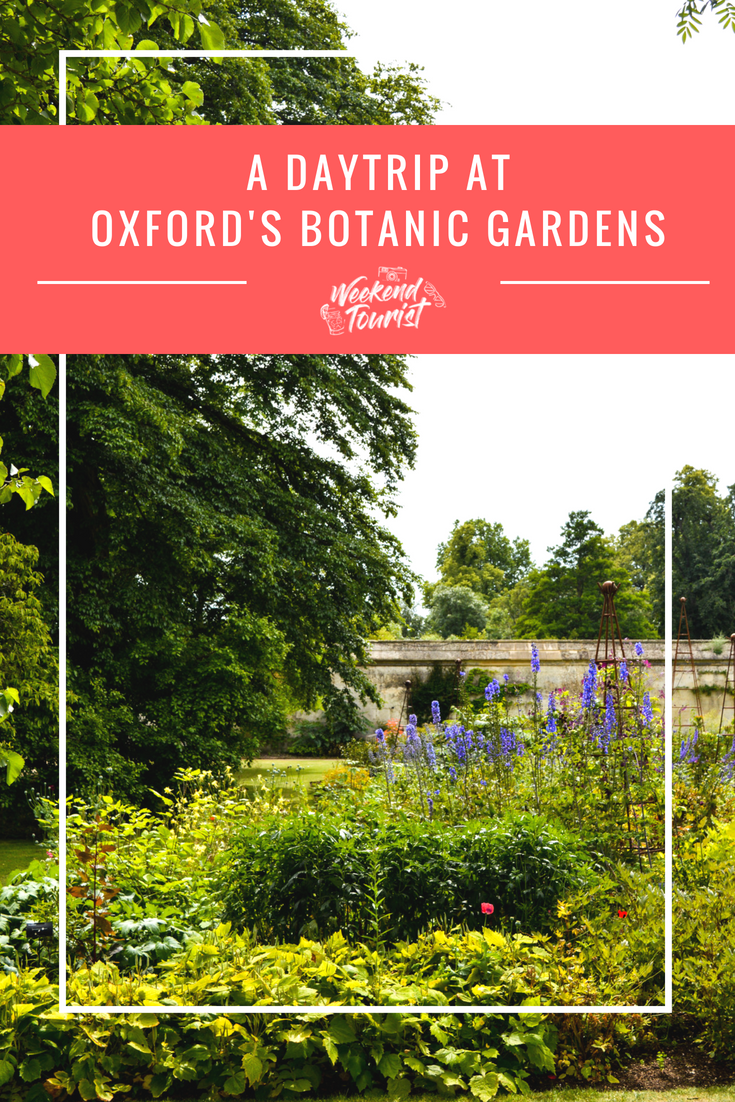 Here's everything you need to know for a day trip to Oxford's Botanic Garden.