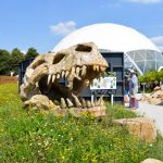 A first timer's guide to RHS Hampton Court Palace Flower Show