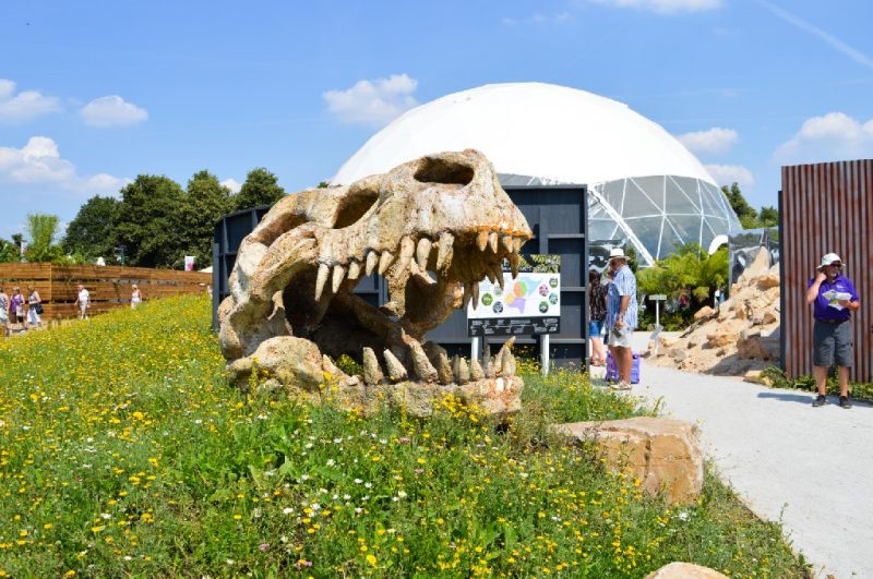 A first timer's guide to RHS Hampton Court Palace Flower Show