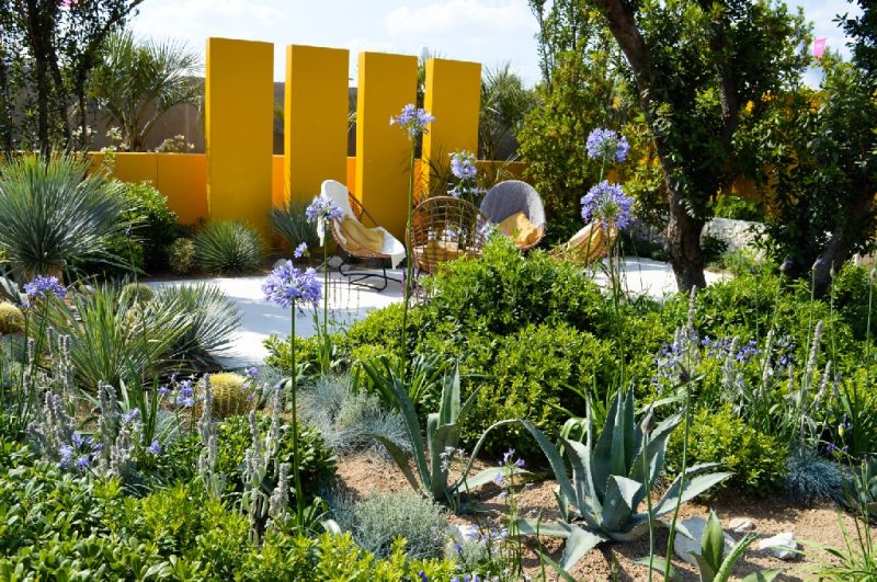 A first timer's guide to RHS Hampton Court Palace Flower Show