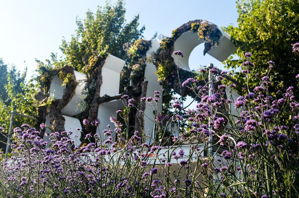 A first timer's guide to RHS Hampton Court Palace Flower Show