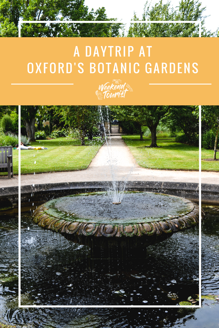 Here's everything you need to know for a day trip to Oxford's Botanic Garden.