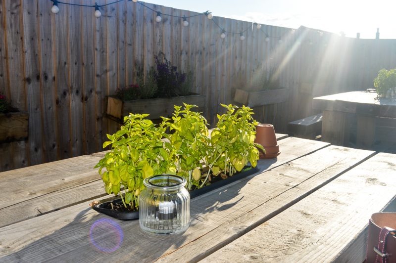 Trying out the Cotswold Pizza Co. Shack at Red Lion Pub, Chipping Norton.