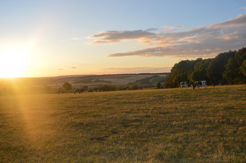 Trying out the Cotswold Pizza Co. Shack at Red Lion Pub, Chipping Norton.
