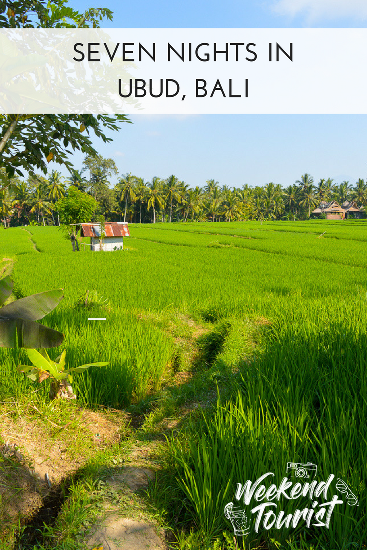 Here's your ultimate guide to seven nights in Ubud, Bali. Our highlights - where we stayed, where we ate and what we did!