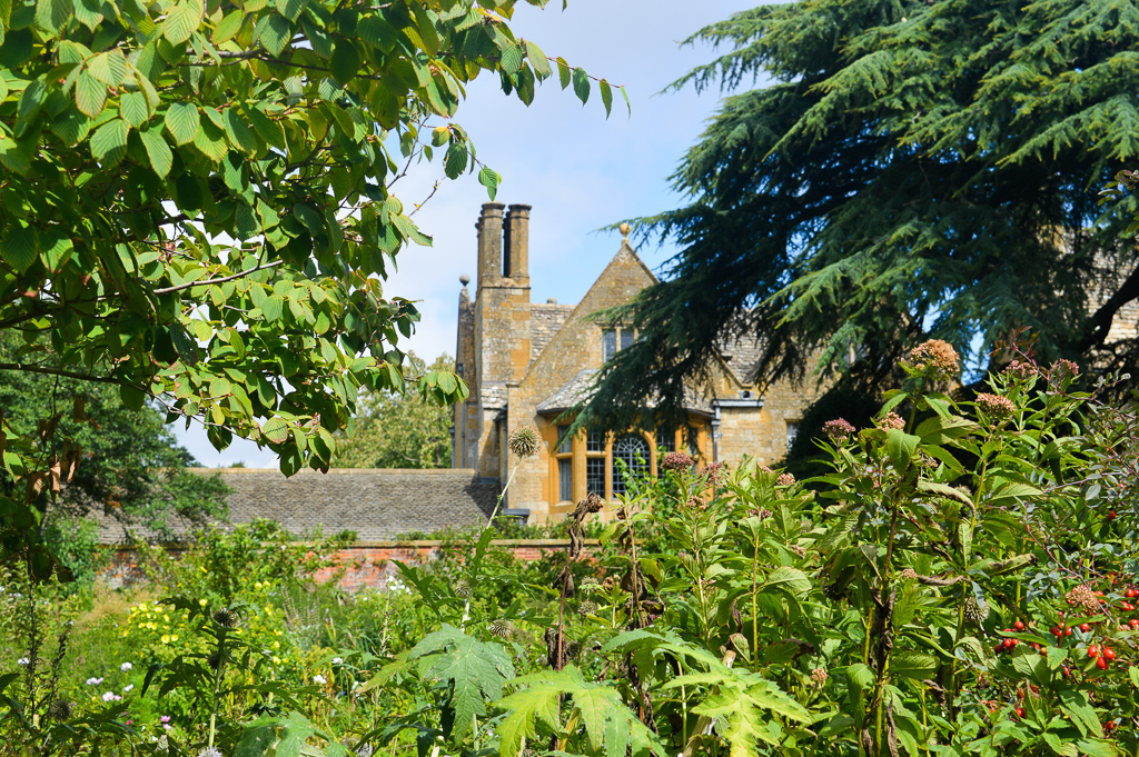 Why you must visit Hidcote Garden!
