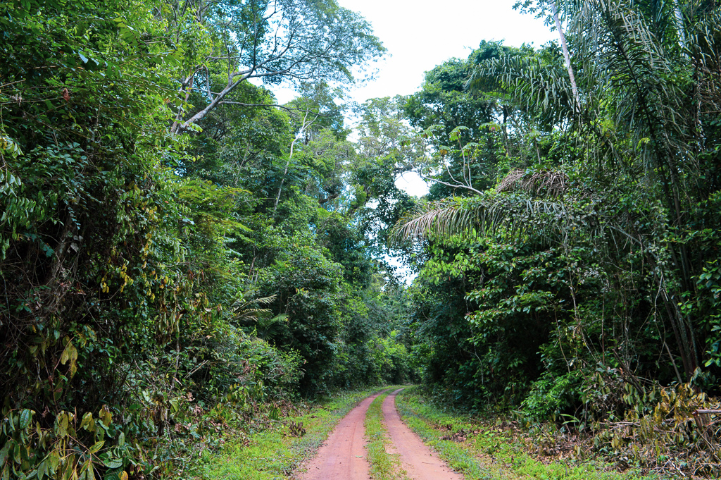 Entrance to Tapajos National Forest