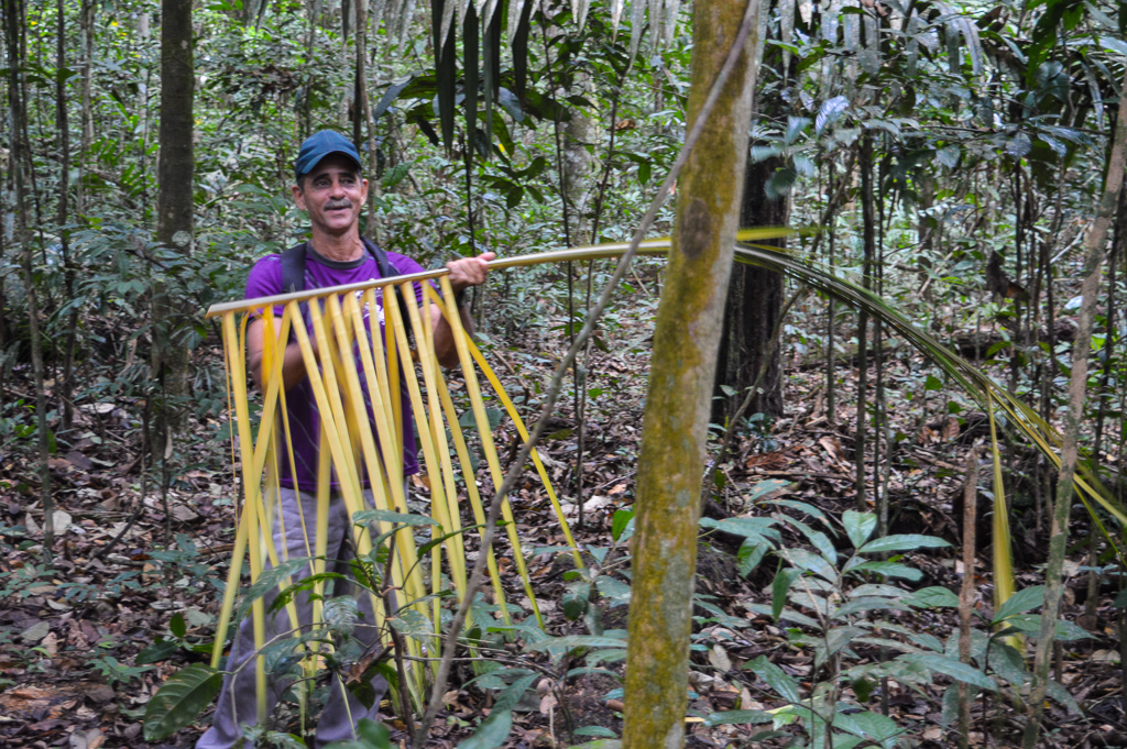 Forest guide at Tapajos National Forest