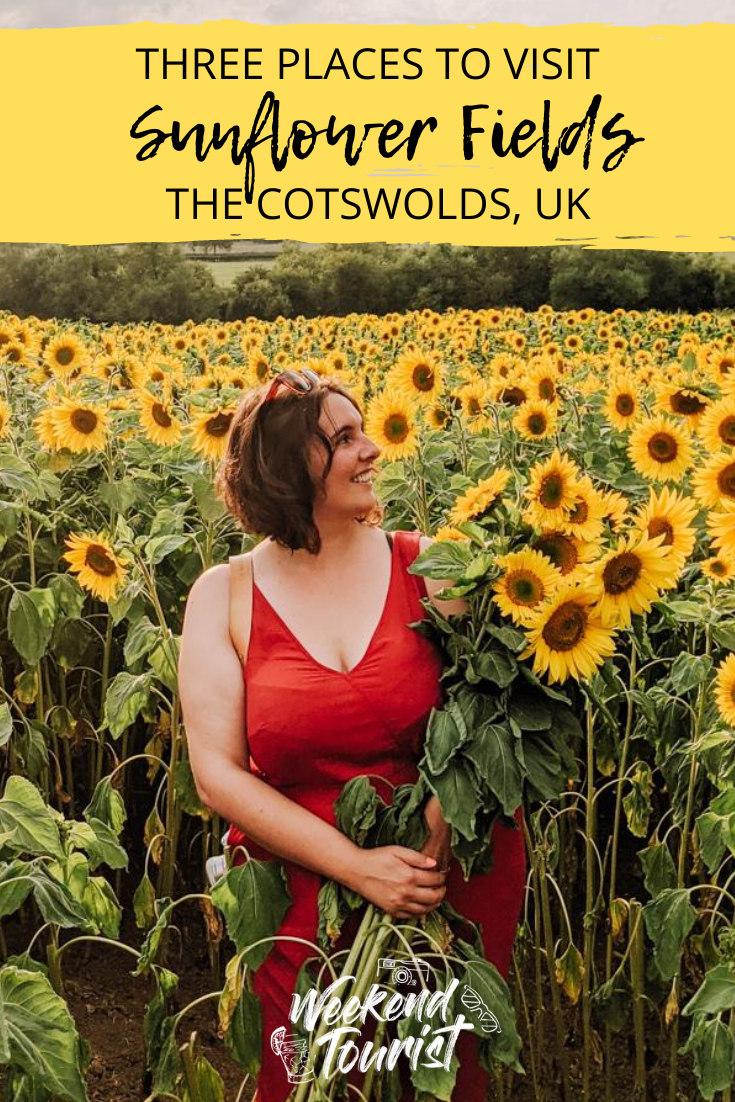 Sunflower Fields in the Cotswolds - The Weekend Tourist